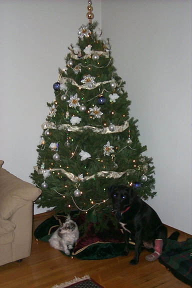 Dogs_At_Christmas_Tree_99_2