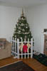 Christmas_Tree_99_With_Fence