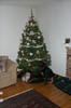 Dogs_At_Christmas_Tree_99_1