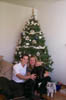 Family_With_Christmas_Tree_99_5_dogs