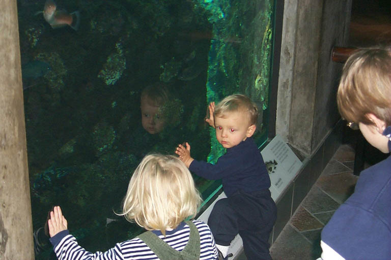 Monterey_Aquarium_2-21-00_5