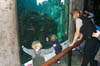 Monterey_Aquarium_2-21-00_4