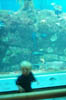 Monterey_Aquarium_2-21-00_7