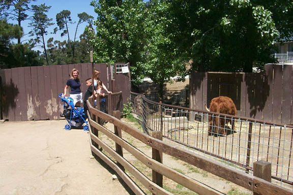 Oakland_Zoo_3_4-30-00