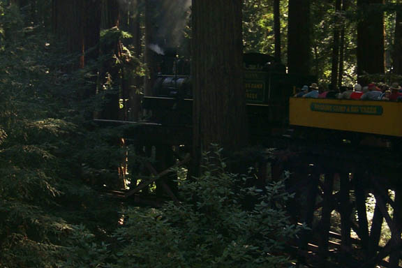 Roaring_Camp_Train_08_10-10-00