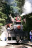 Roaring_Camp_Train_10_10-10-00