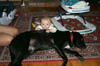 Asten climbing zack