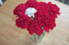 Carnations