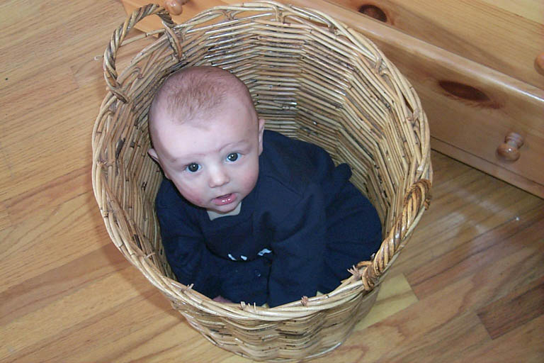 Asten in basket 02-14-99