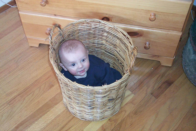 Asten in basket, 2, 02-14-99