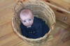 Asten in basket 02-14-99