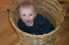 Asten in basket, 3, 02-14-99