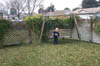 Asten_In_Yard_1-20-01_1