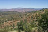 1999-07-18_Panorama_From_Smith_Station_3