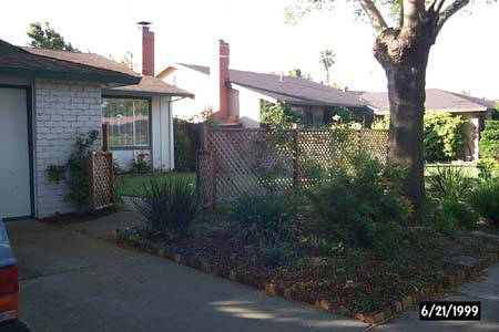 1999-06-21_Front_yard_2