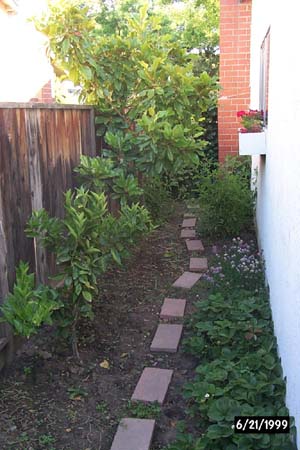 1999-06-21_Garden